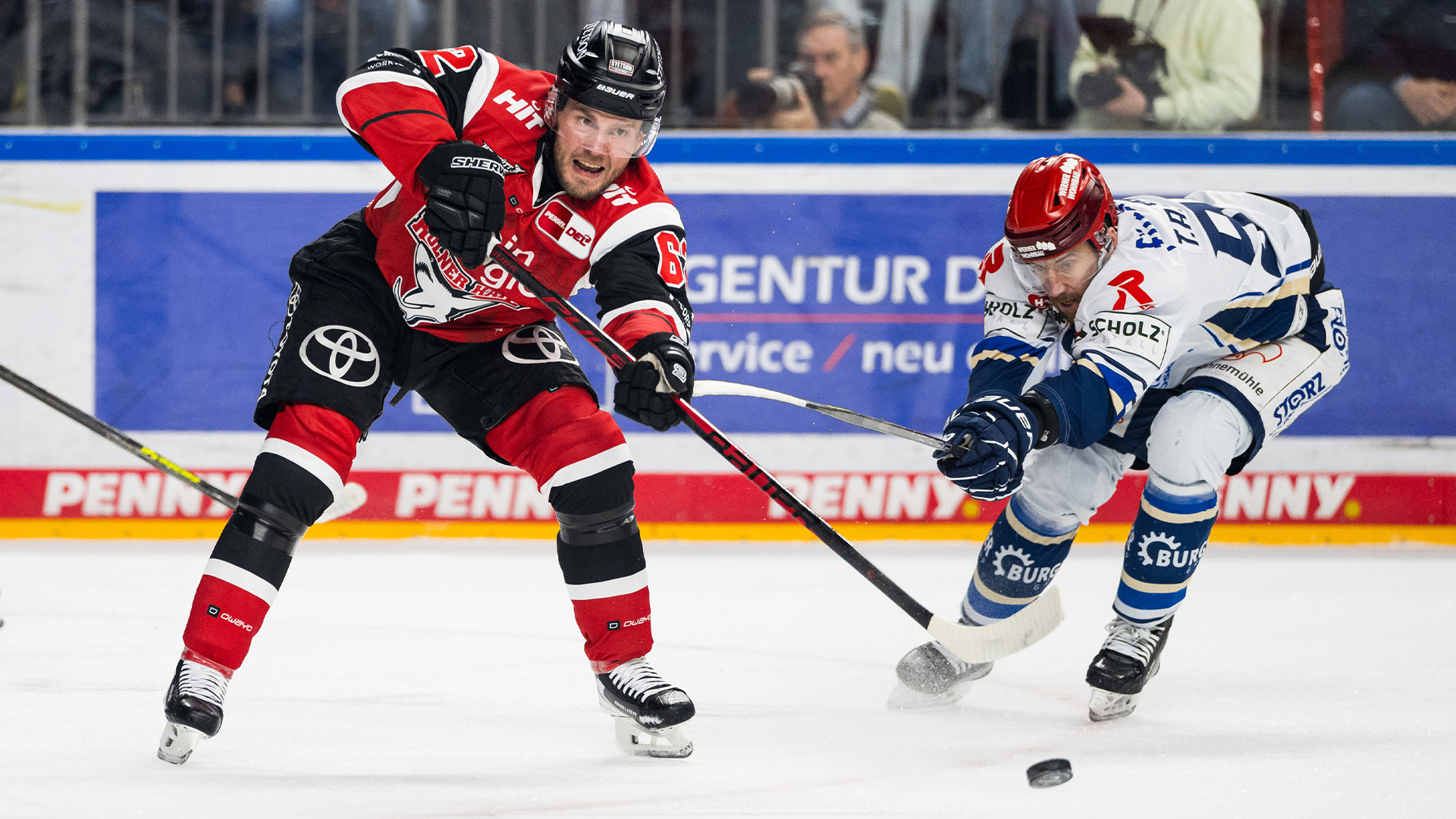 Kölner Haie gg. Schwenninger Wild Wings